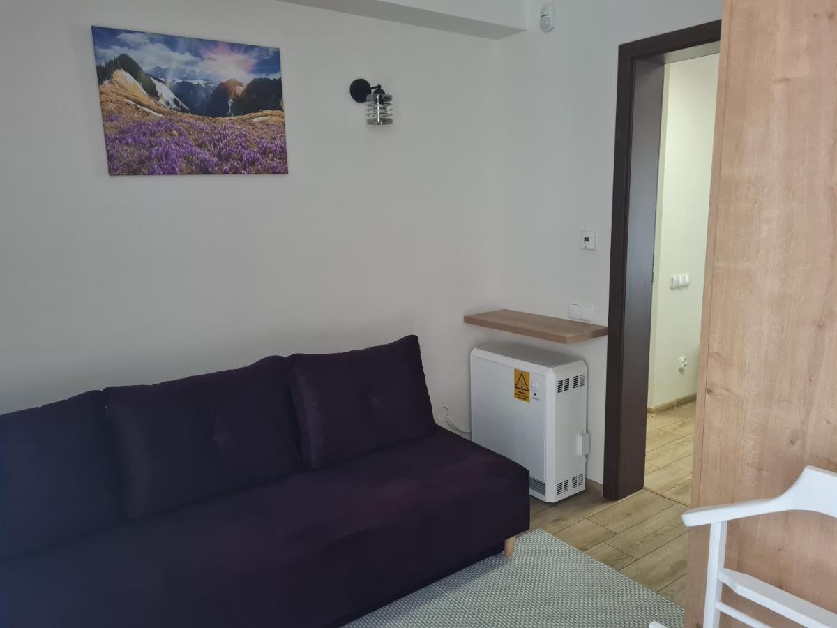 Apartamenty Convallis Koscielisko Ngoại thất bức ảnh